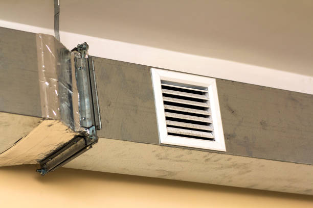 Best Air Duct Sanitizing Services  in Navasota, TX